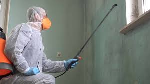 Why You Should Choose Our Mold Remediation Services in Whitehall, MI